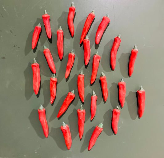 Chilli Magnet
