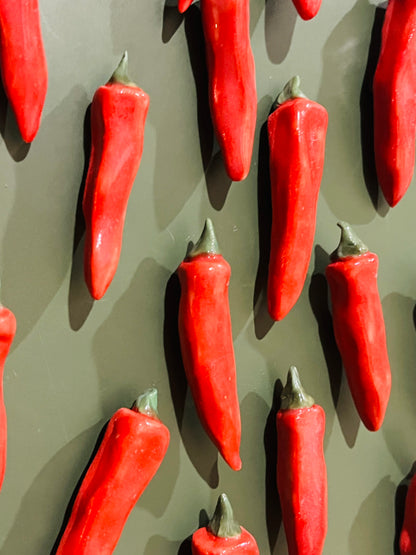 Chilli Magnet