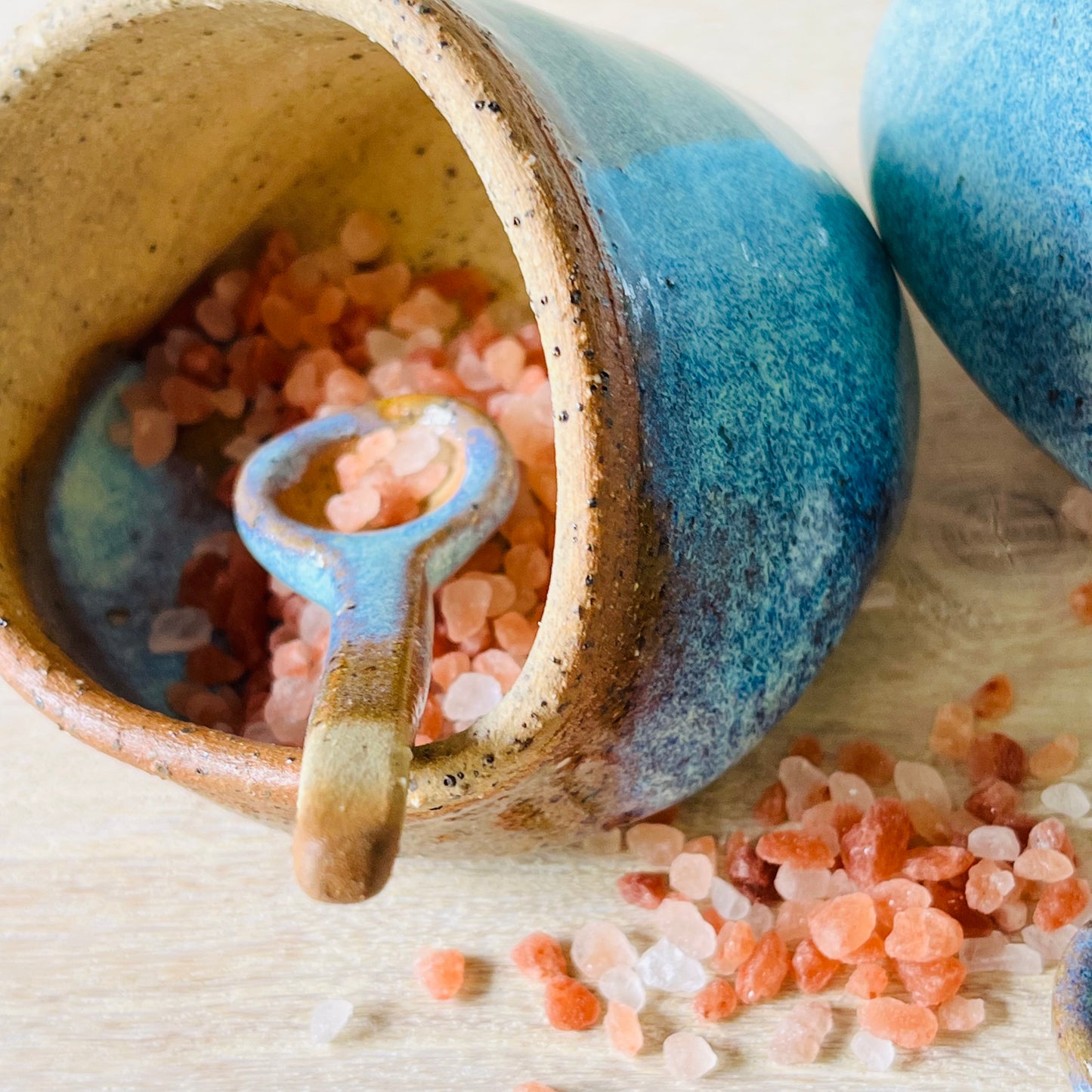 Salt Pigs