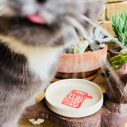 Cat Bowl