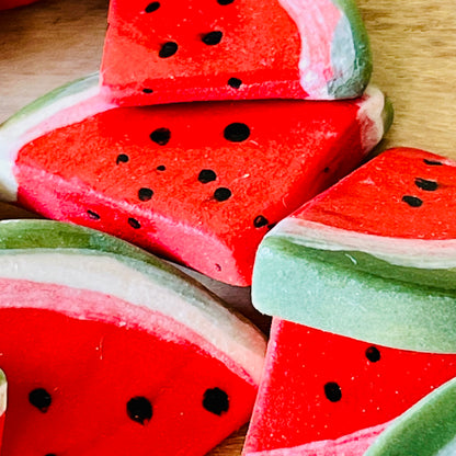 Watermelon Magnets
