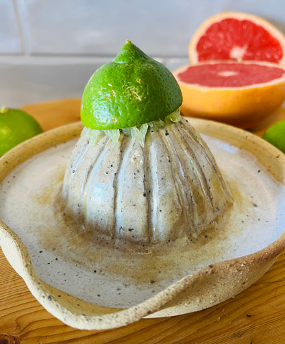 Citrus Juicer, howlite and copal glaze