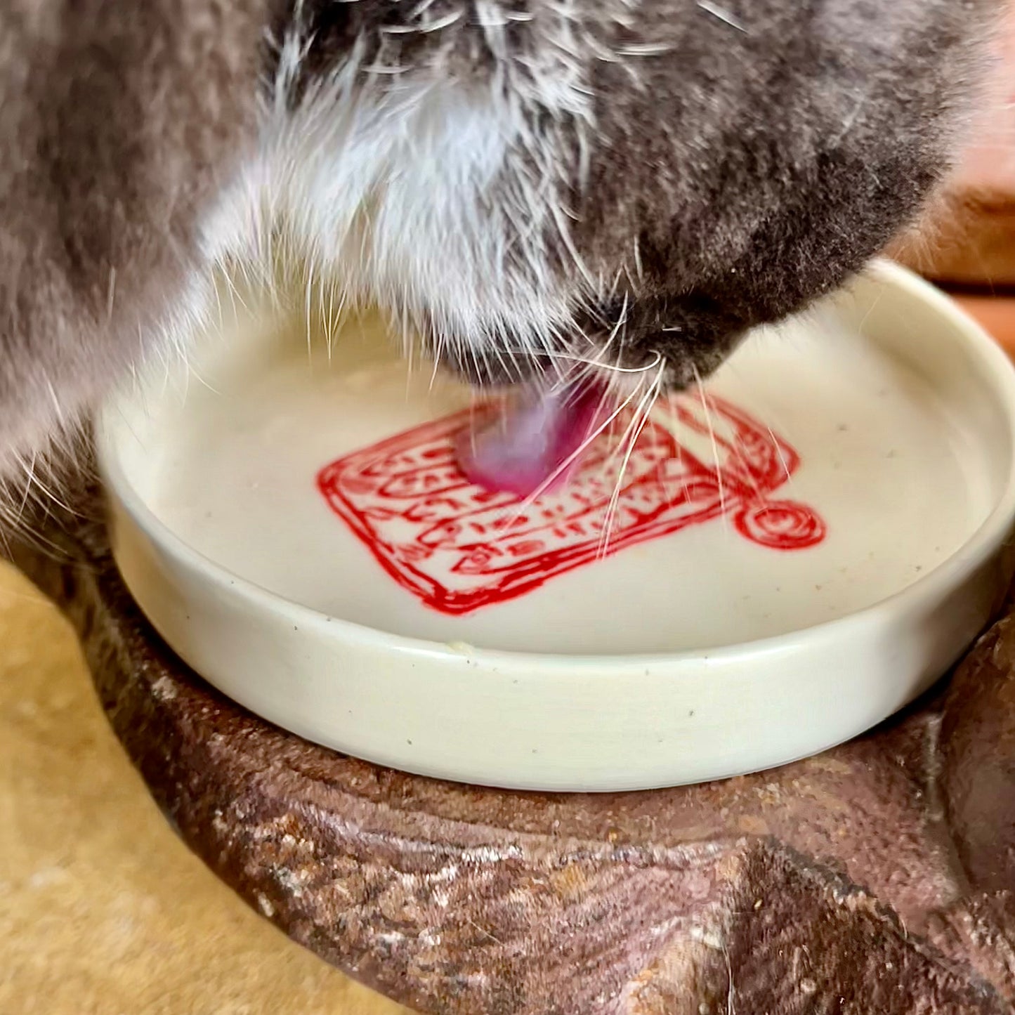 Cat Bowl