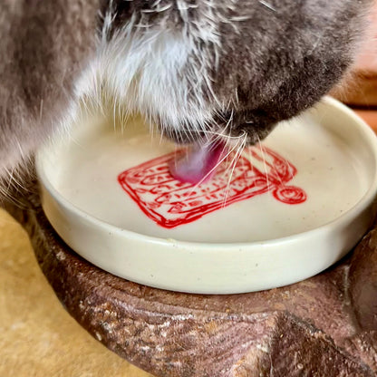Cat Bowl