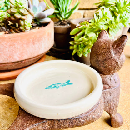 Cat Bowl