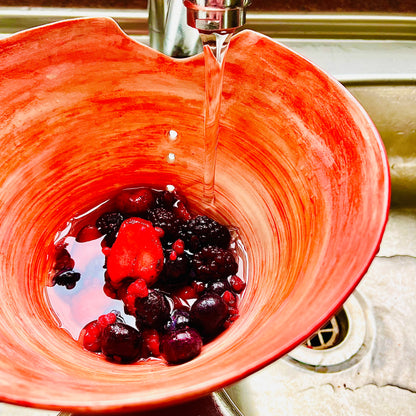Harvest Berry Wash Bowl